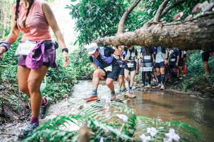 BIB: 
                            <button type="button" onclick="openModal(25471222)" class="btn btn-primary btn-sm float-right btn-popup" data-toggle="modal" data-target=".modal-high-quality">
                        <i class="fas fa-shopping-cart"></i> Add to Cart
                    </button>
                                            <button type="button" onclick="isThisMe(25471222, true)" class="btn btn-success btn-sm float-right btn-popup btn-isme hidden" data-toggle="tooltip" data-placement="bottom" title="นี่คือรูปของคุณใช่ไหม คลิกที่นี่เพื่อเอาเข้าอัลบั้ม">
                        <i class="fas fa-plus"></i> Add to album
                    </button>
                    <button type="button" onclick="isThisMe(25471222, false)" class="btn btn-warning btn-sm float-right btn-popup btn-isnotme hidden">
                        <i class="fas fa-ban"></i> Remove from album
                    </button>